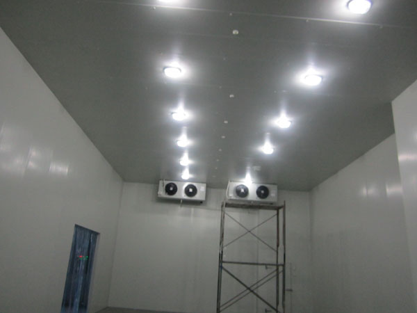 食品冷鏈物流冷庫貨架設(shè)計方案要點和注意事項